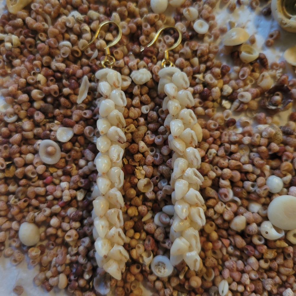 Momi Shell Earrings - image 2